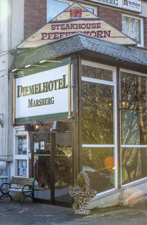 Diemelhotel Marsburg Марсберг Экстерьер фото